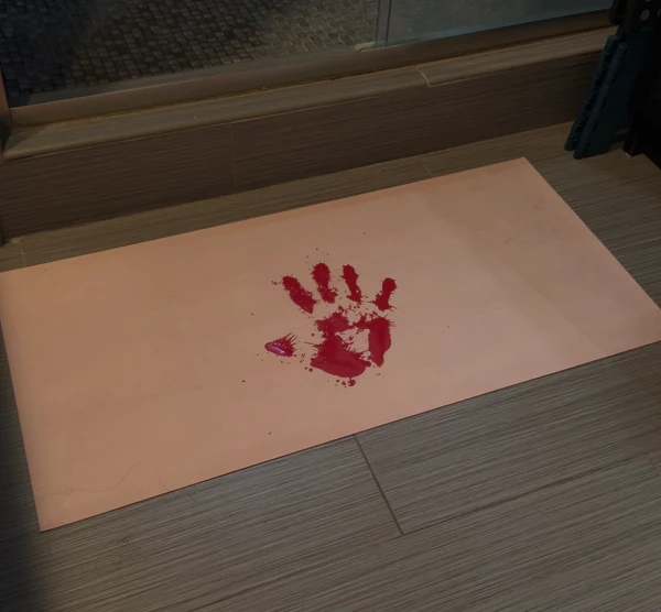 Gore Footprint Mat